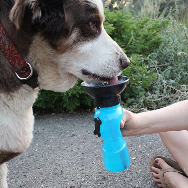 Portable Dog Water Bottle