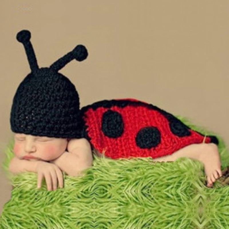 Little Beetle  Photo Prop