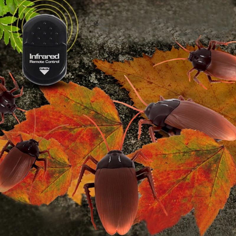 5 Infrared Ants / Cockroaches