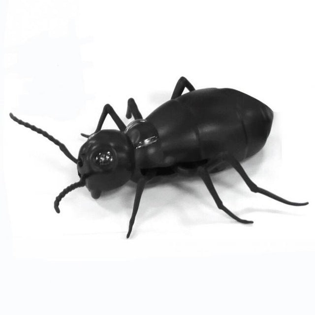 5 Infrared Ants / Cockroaches