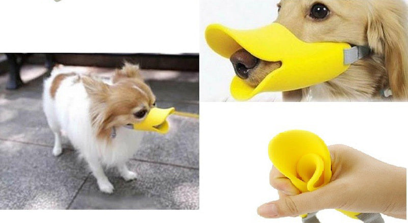 Duckie Dogie